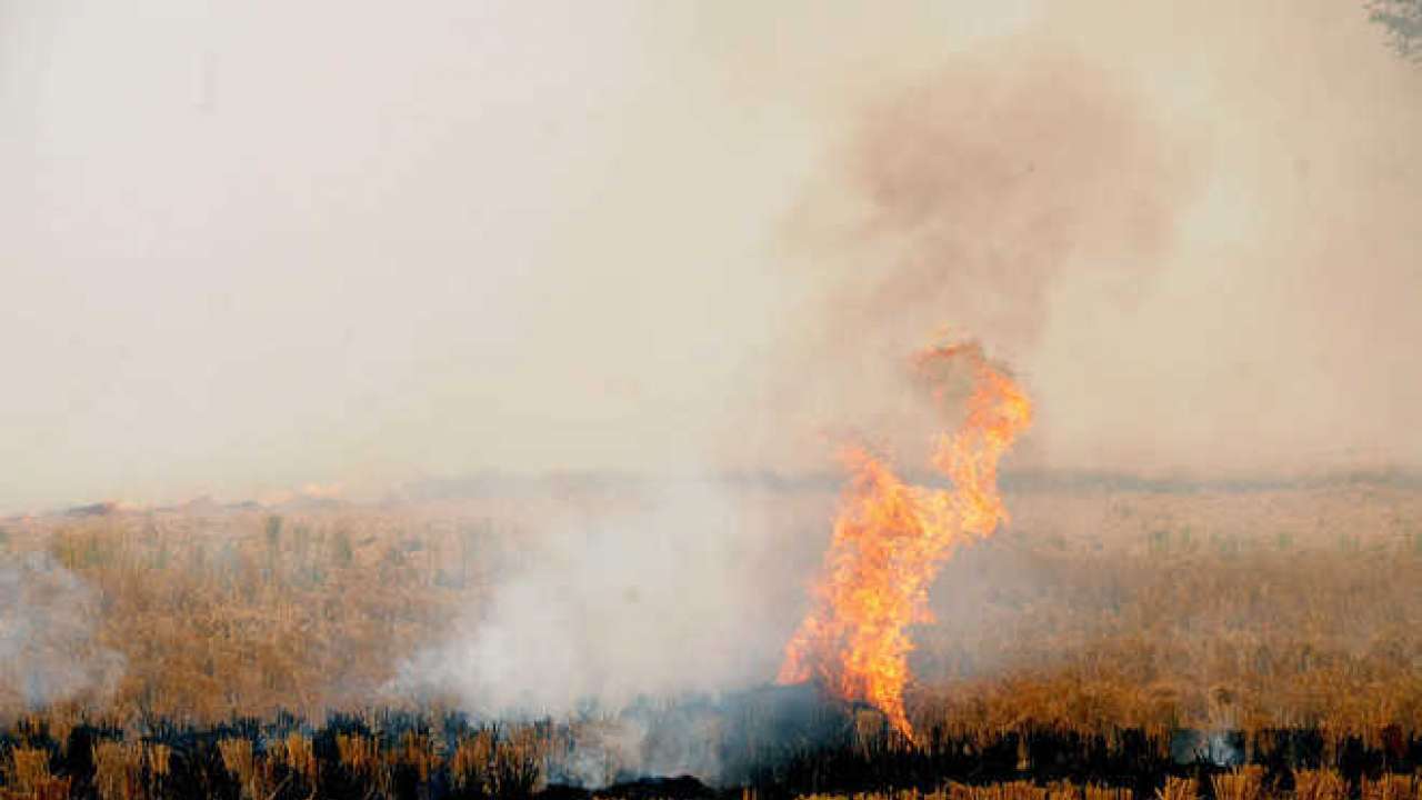 Stubble burning