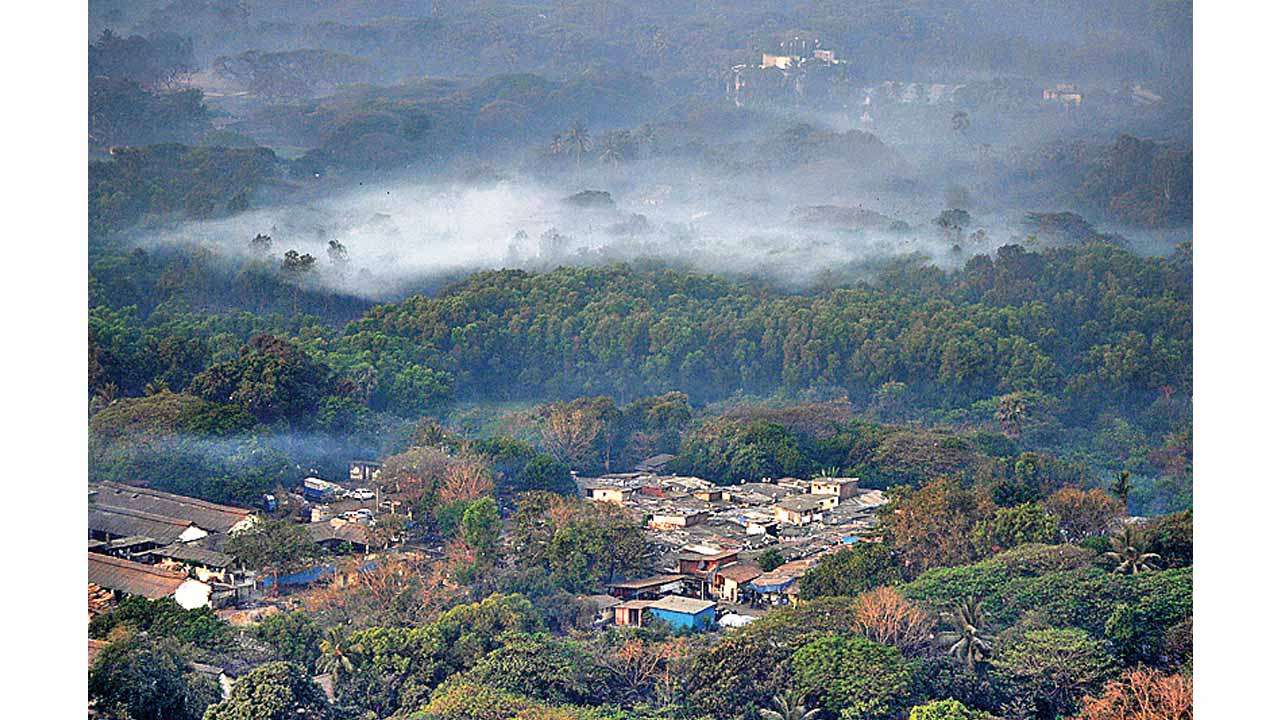Aarey Colony
