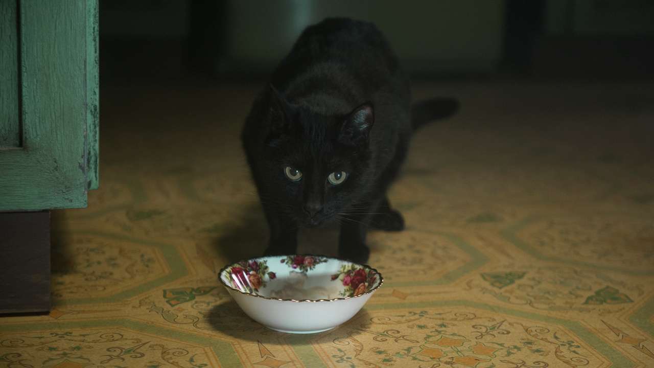 Salem