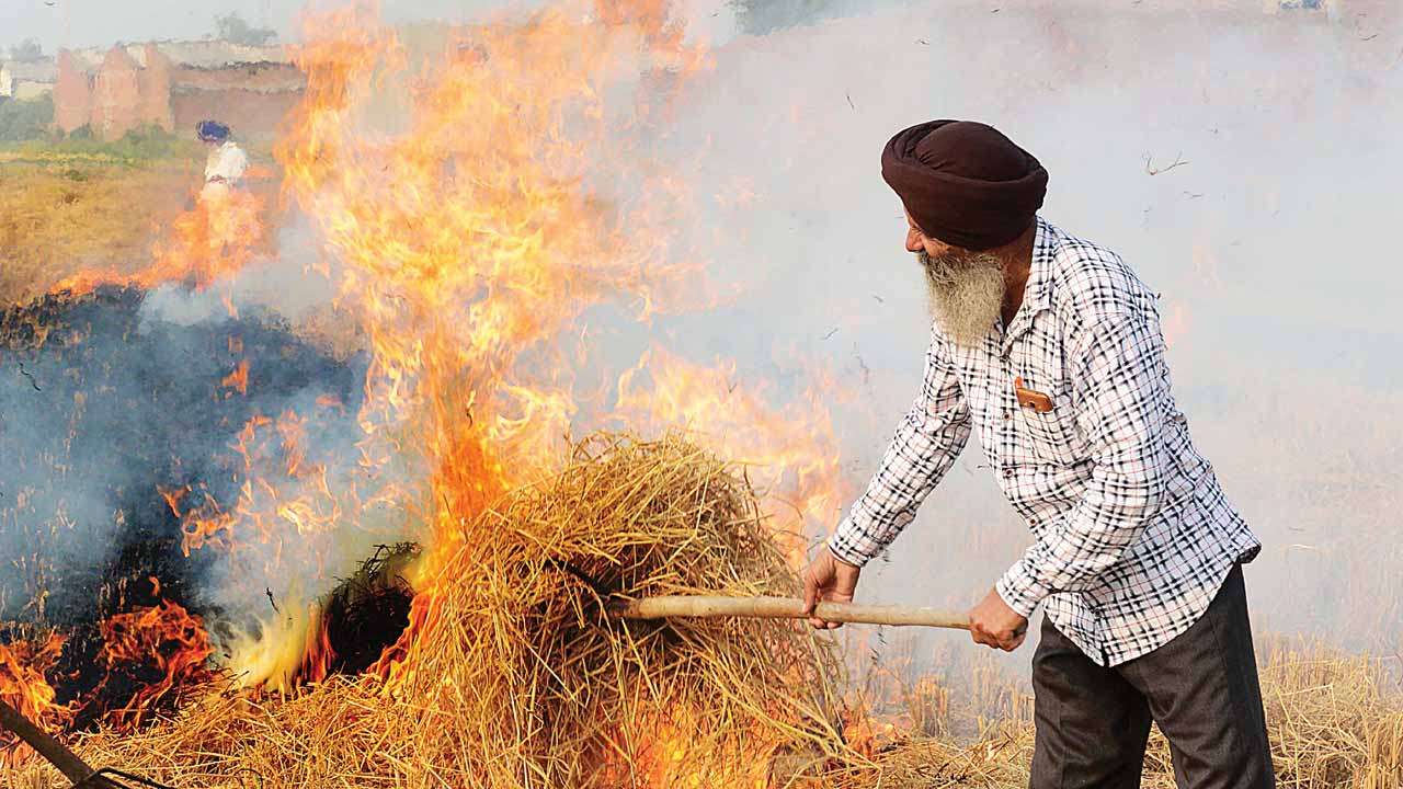 Stubble burning: Punjab, Haryana see 31% drop