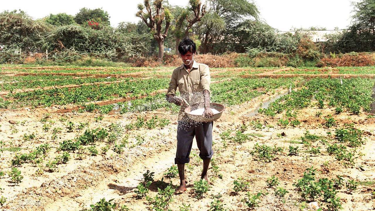 farmers