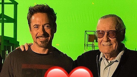 Robert Downey Jr - Iron Man aka Tony Stark