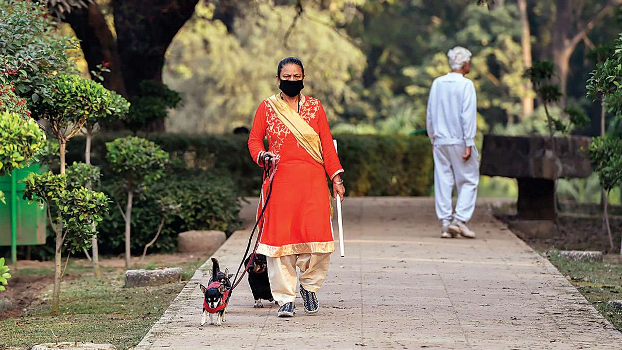 Anti-pollution mask
