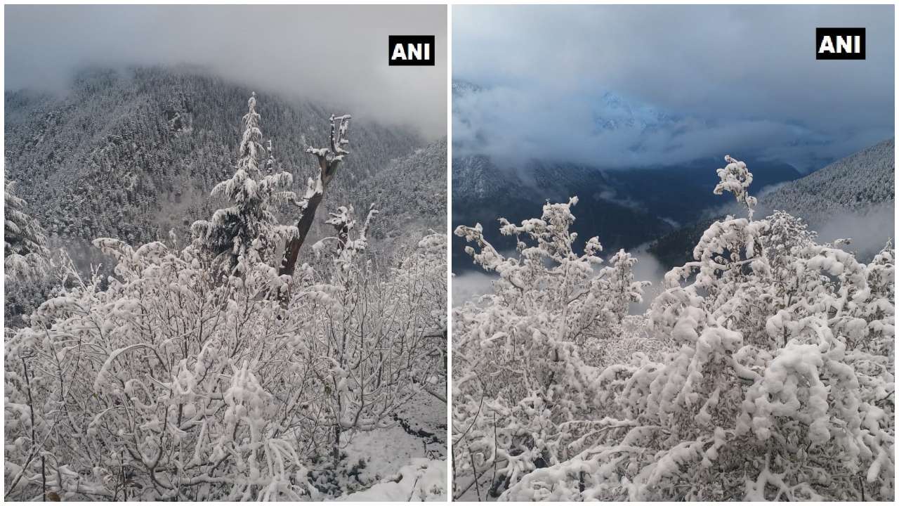 Snowfall in Kinnaur