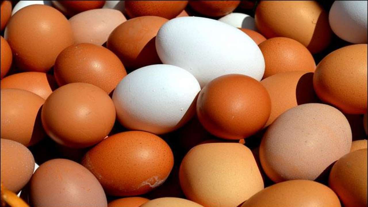 Price of eggs surge in city as demand spurts