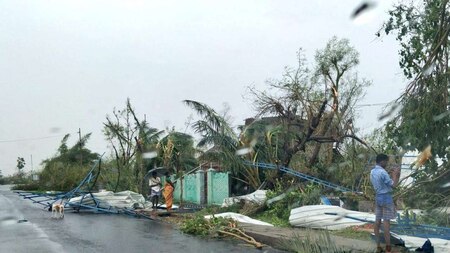 Aftermath of cyclone Gaja is seen in Tamil Nadu