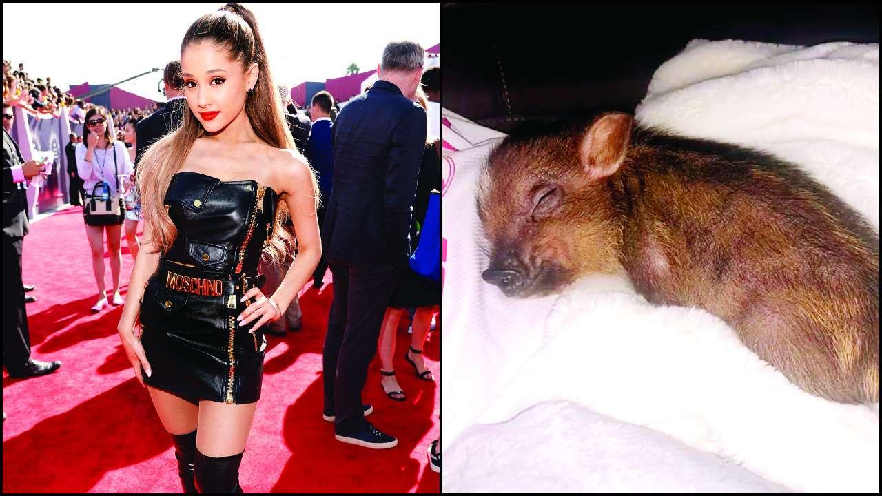 Ariana Grande
