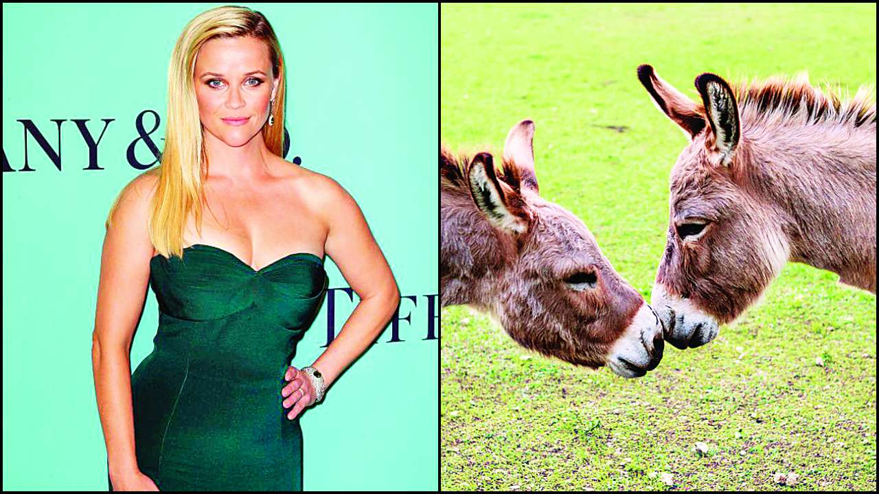 Reese Witherspoon