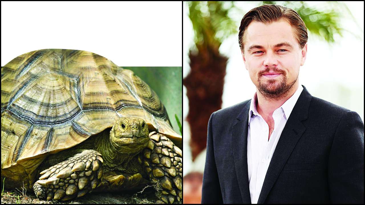 Leonardo DiCaprio