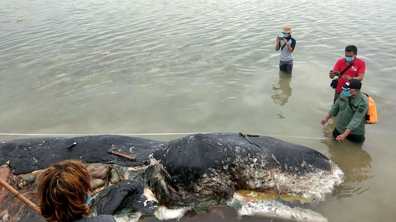 Concerned environmentalists throw spotlight on the country's rubbish problem