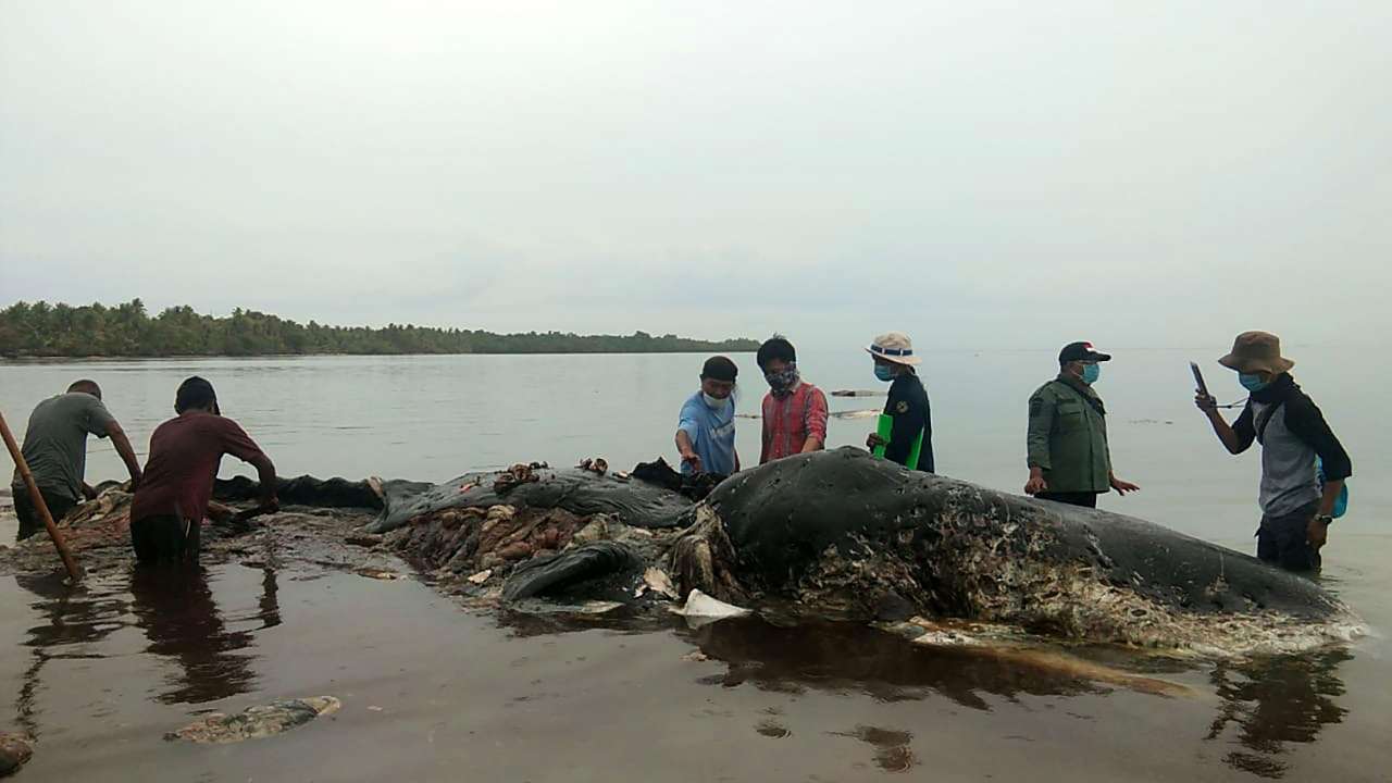 17,000 islands pledged to reduce marine plastic waste by 70%