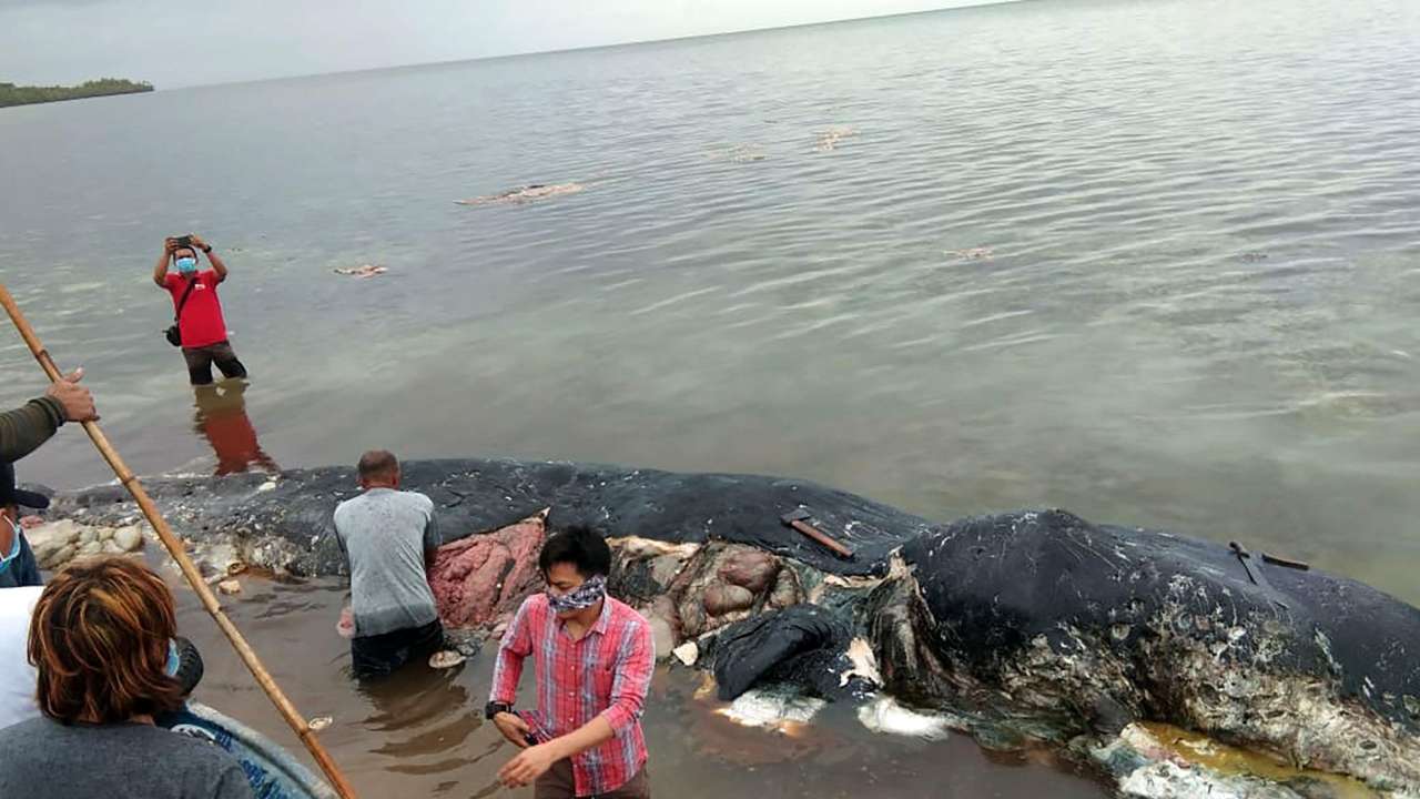 Indonesia is the world's second-biggest contributor to marine debris