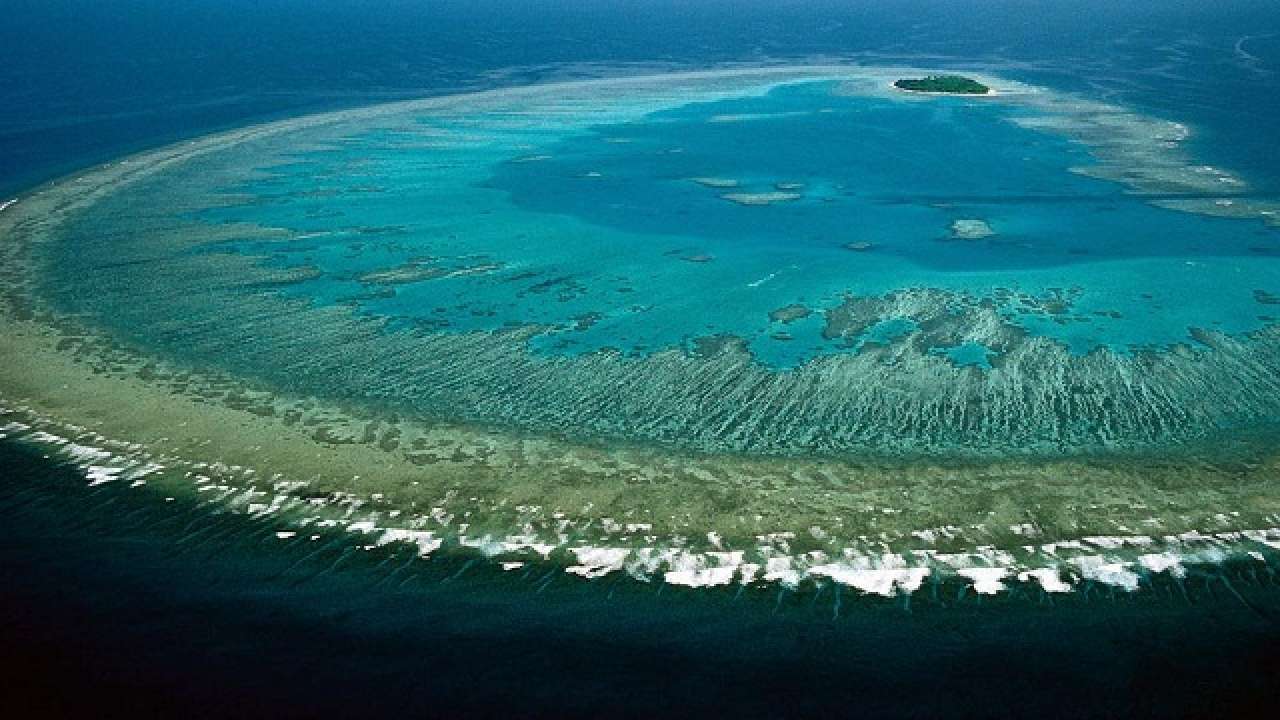 American tourist rescued in Australia after long night at sea American tourist rescued in Australia after long night at sea