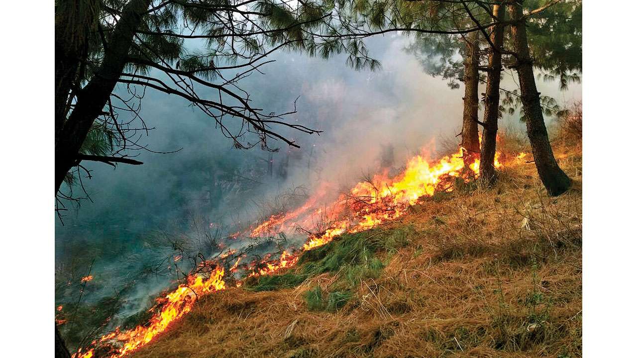 Fire