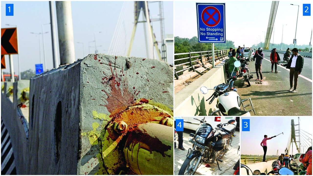 Signature Bridge
