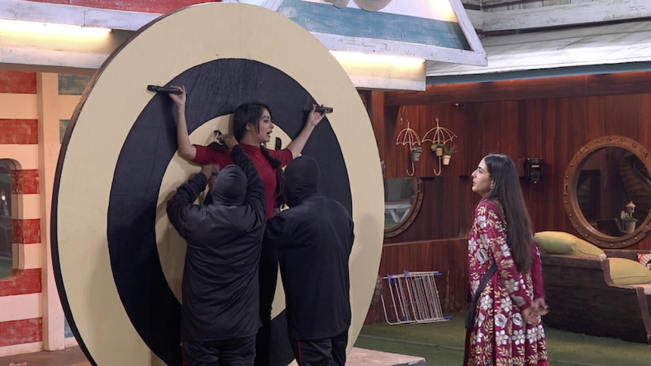 BB 12 Contestants part of a Zoo?