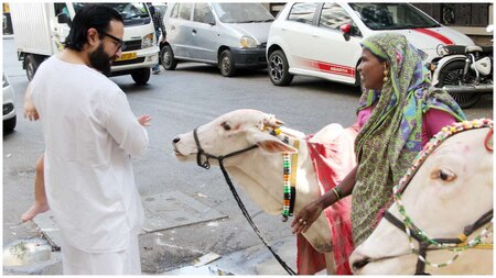 Saif Ali Khan introduces Taimur to the cows