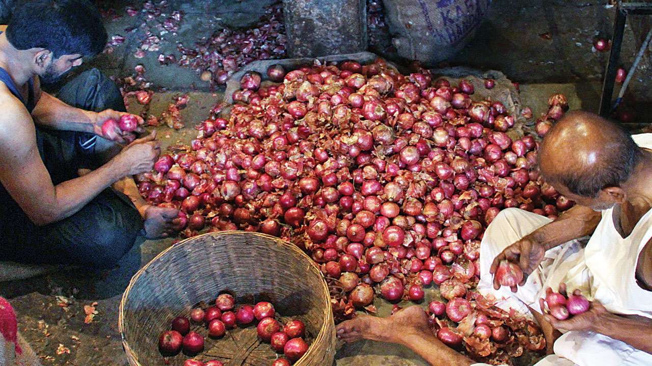 onions-farmer