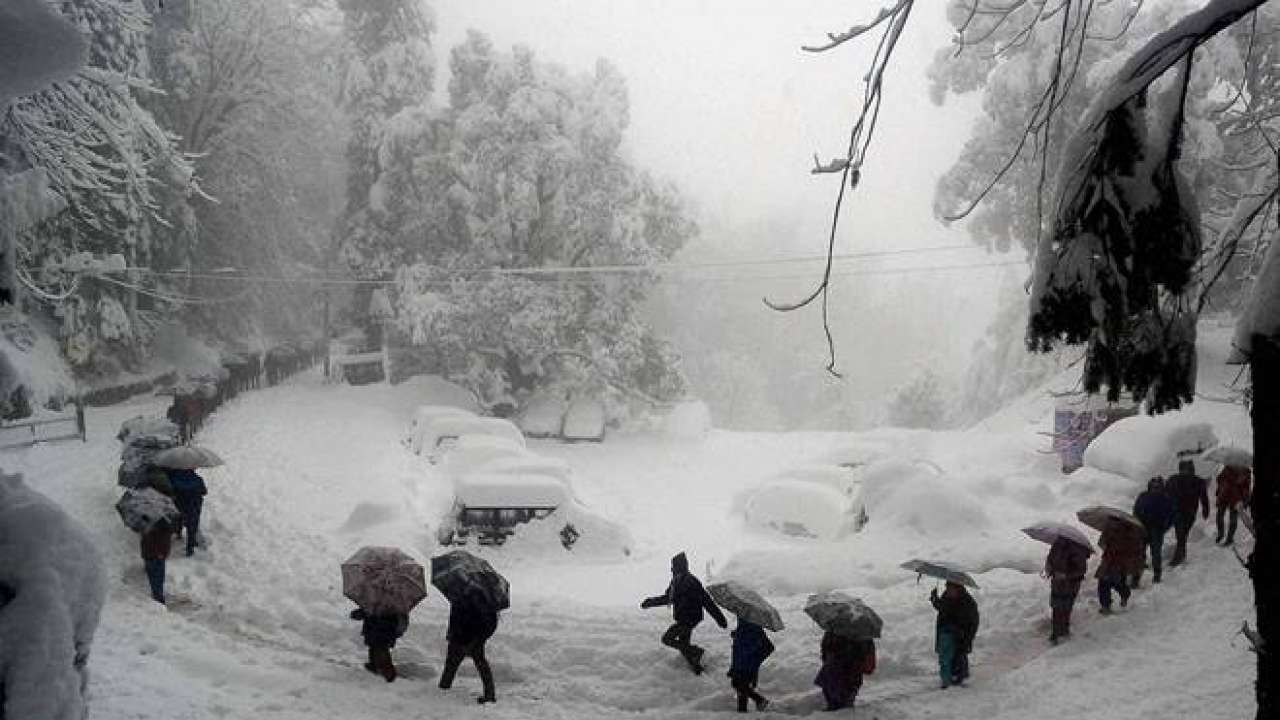 White blanket of cottony snowfall