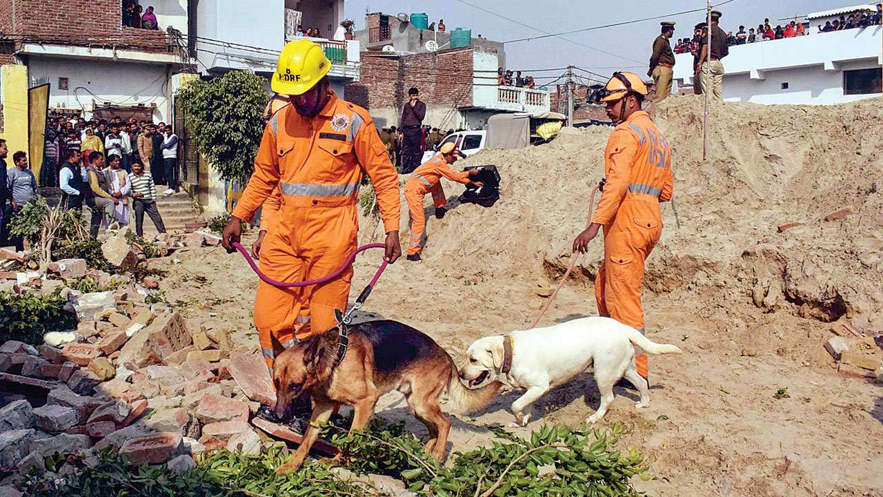 Two Kids Die After School Wall Collapses In Noida's Sector 101