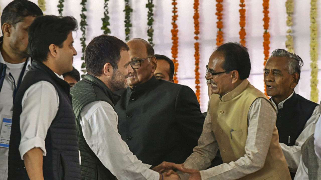 Smiles and handshakes