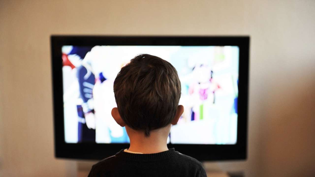 GST rates have been reduced on up to 32-inch TV
