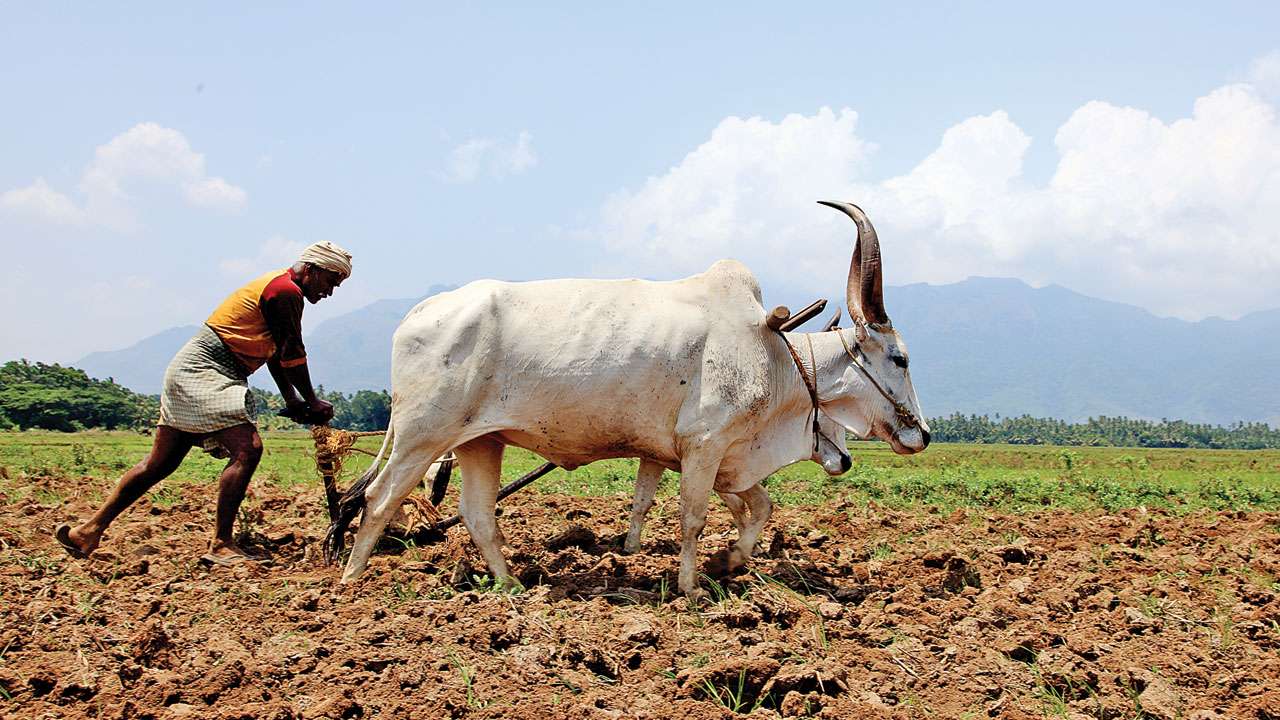 Doubling farmers' income: ITC shows the way in UP