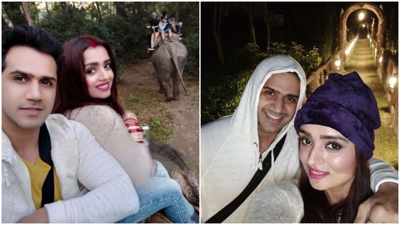 Jungle safari