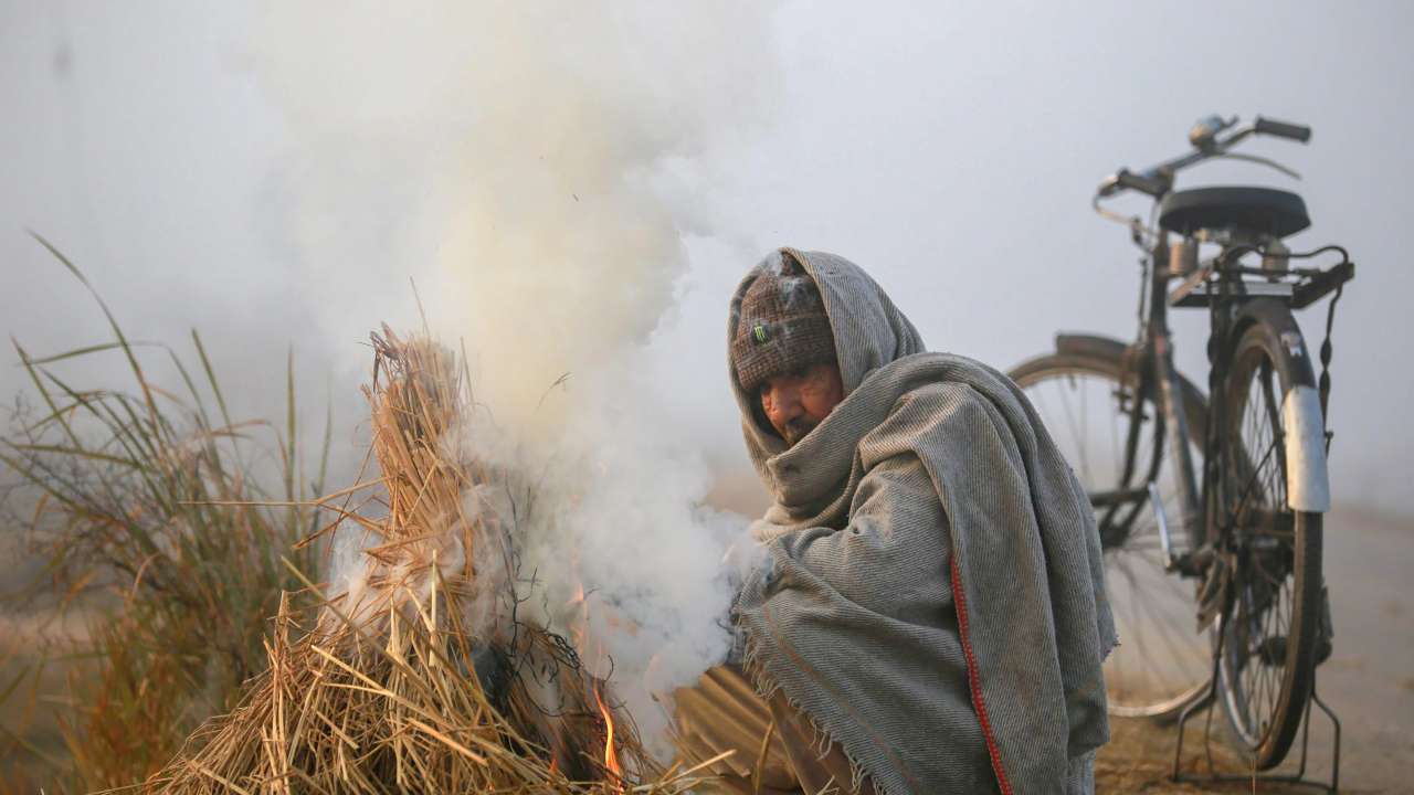Picture for representation, PTI