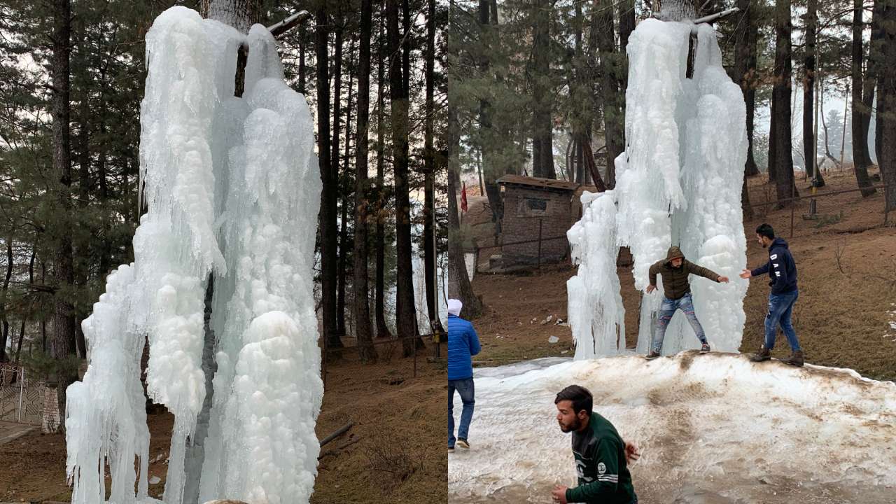  Frozen tree? These pictures will make you believe that Kashmir is a snowy wonderland