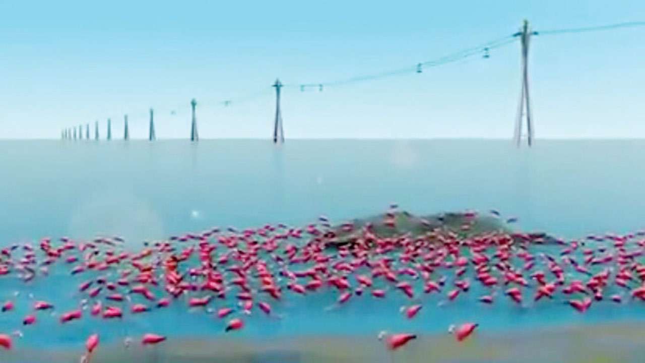 Mid-sea ropeway