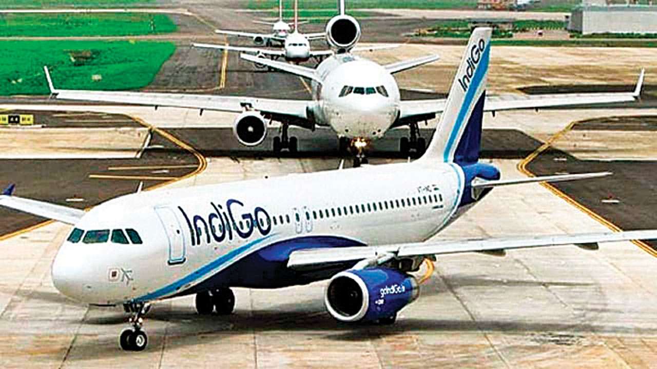 Indigo