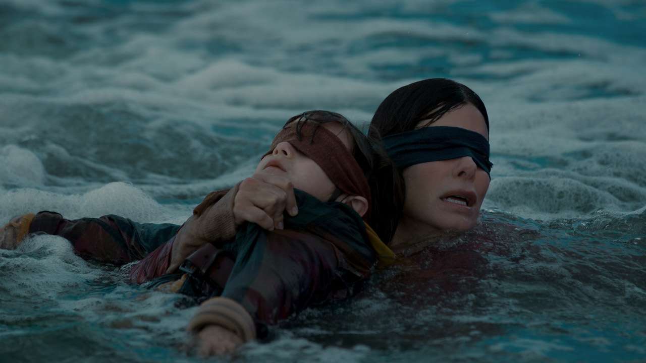 Sandra Bullock Porn Xxx - Netflix is begging people to not attempt 'Bird Box Challenge'