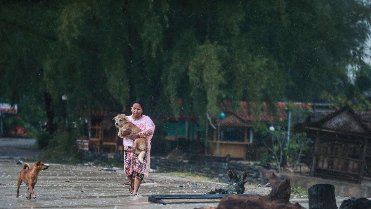 One dead in Thailand as tropical storm uproots trees, blows off roofs