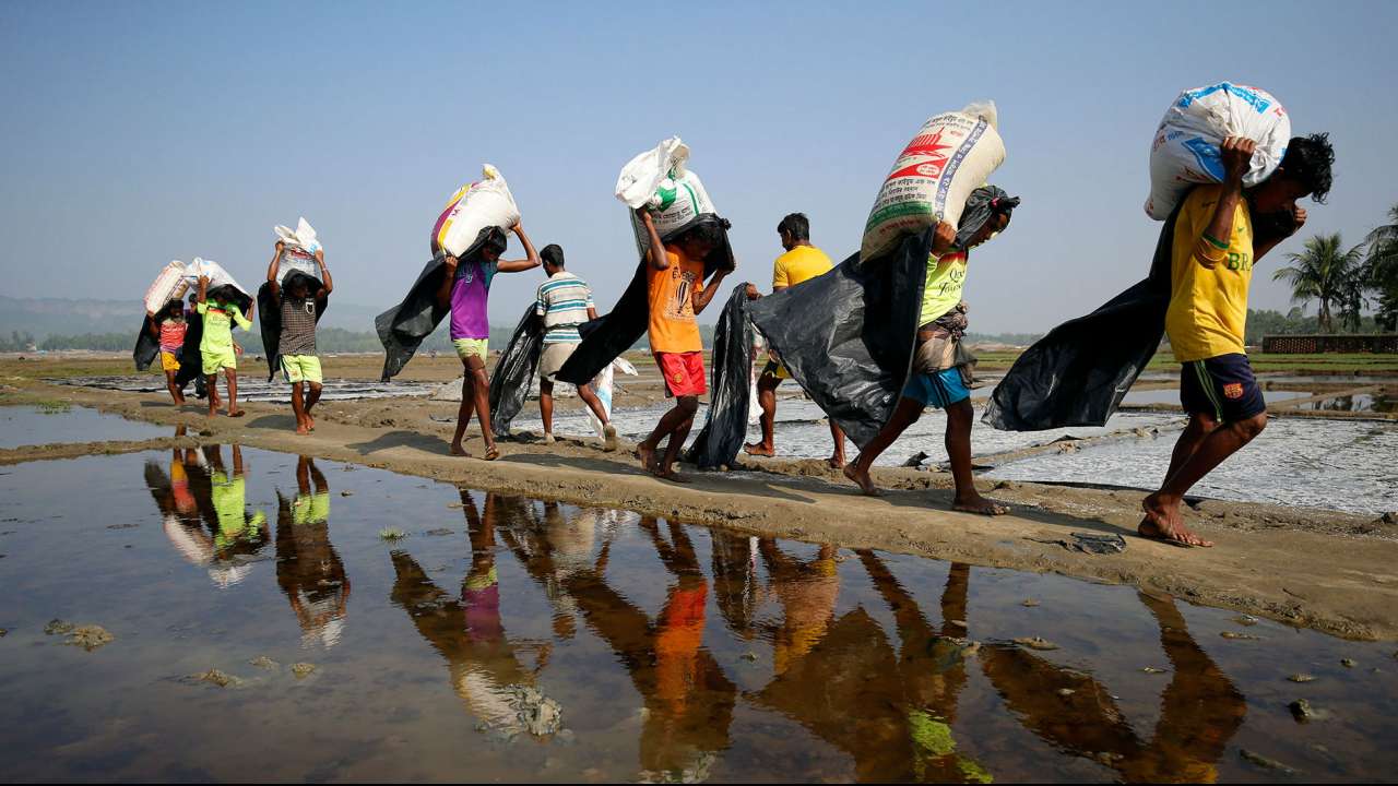 Picture for representation, Reuters