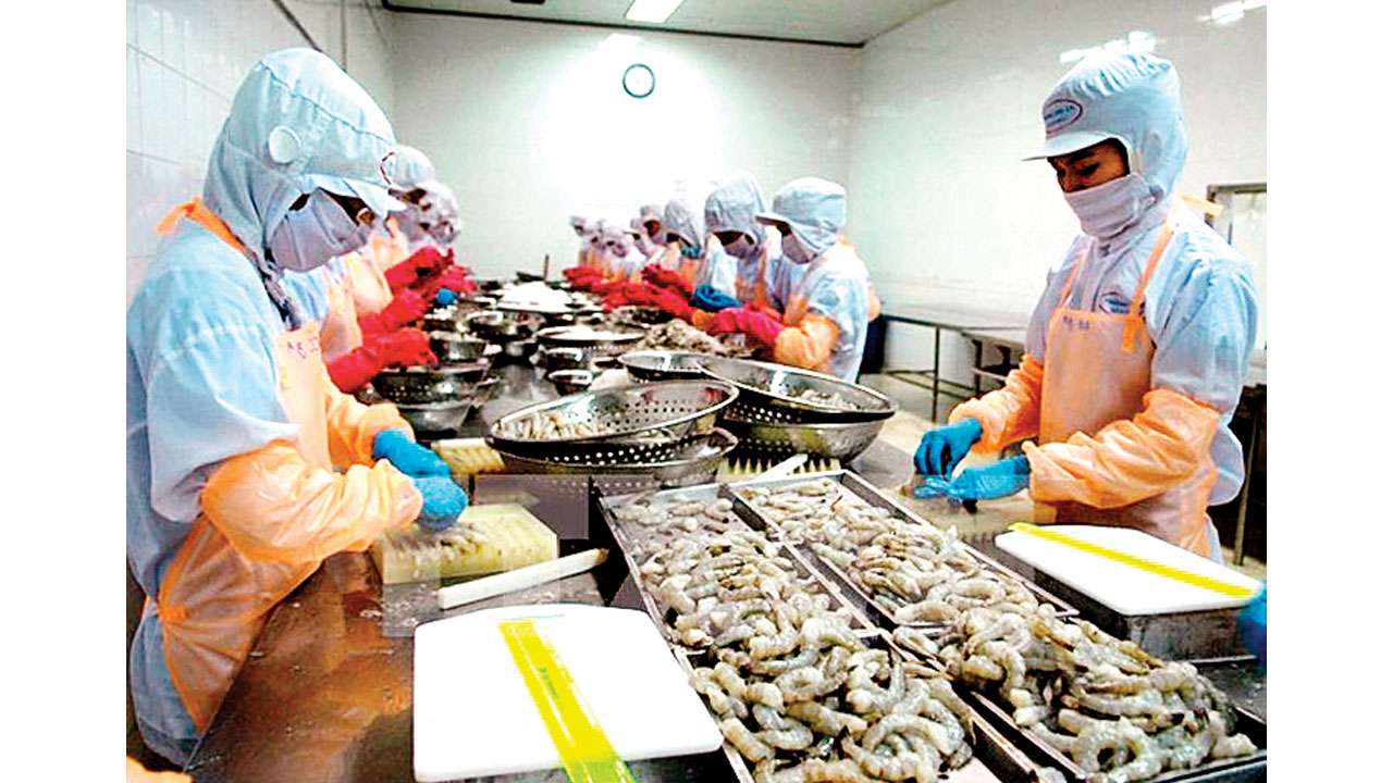 Shrimp exports growth seen subdued this year
