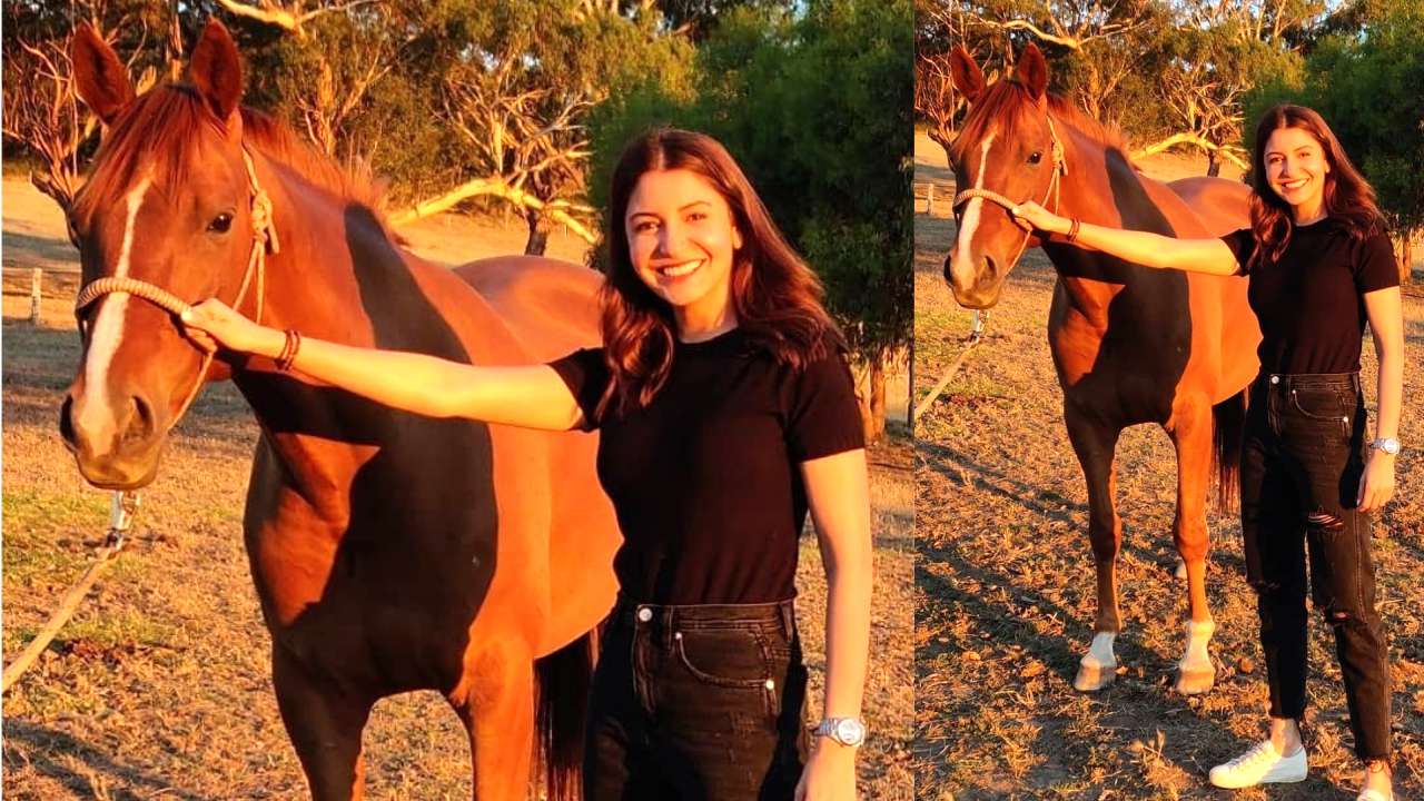 Anushka strikes a pose with a beautiful horse