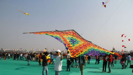 Makar Sankranti is observed according to solar cycles