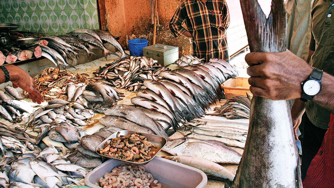 Fish sales banned in Patna for 15 days after formalin, lead detected in ...