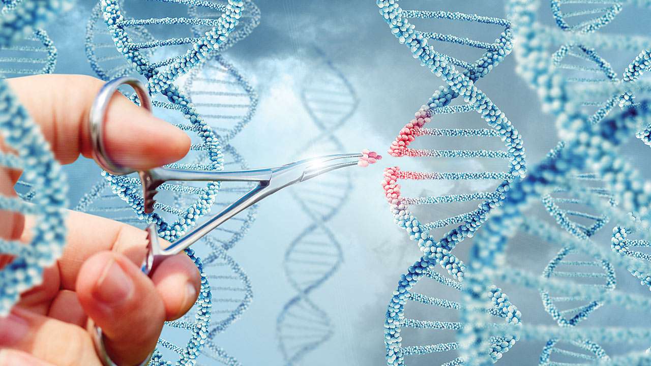 gene