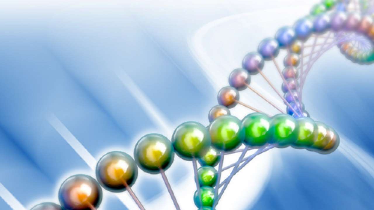 dna india