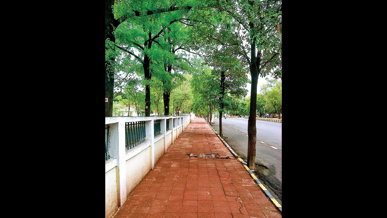 Footpath