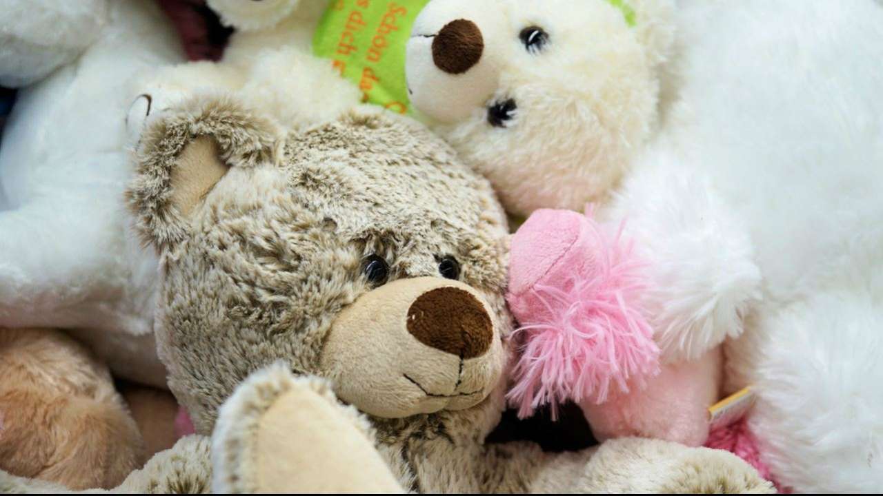 teddy bear day valentine week