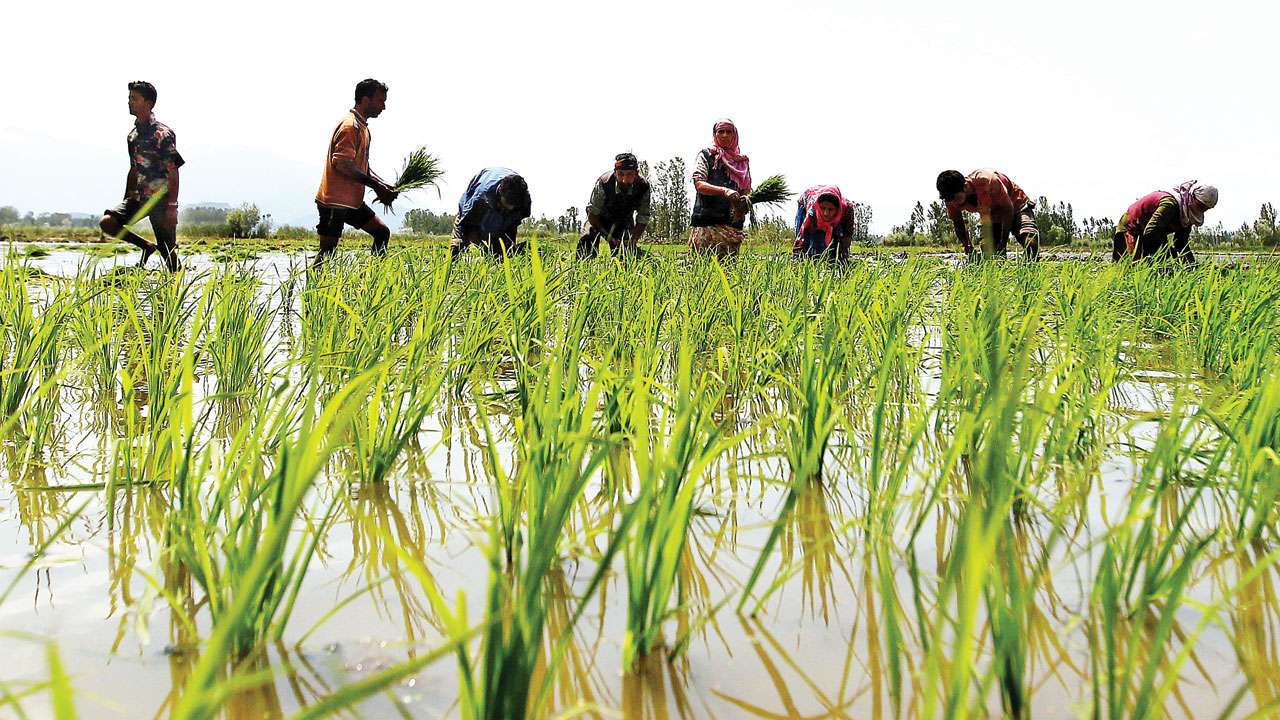 income-tax-paying-farmers-may-be-excluded-from-income-scheme