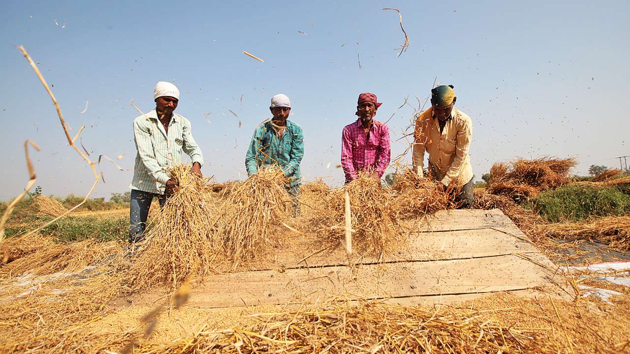Farmers