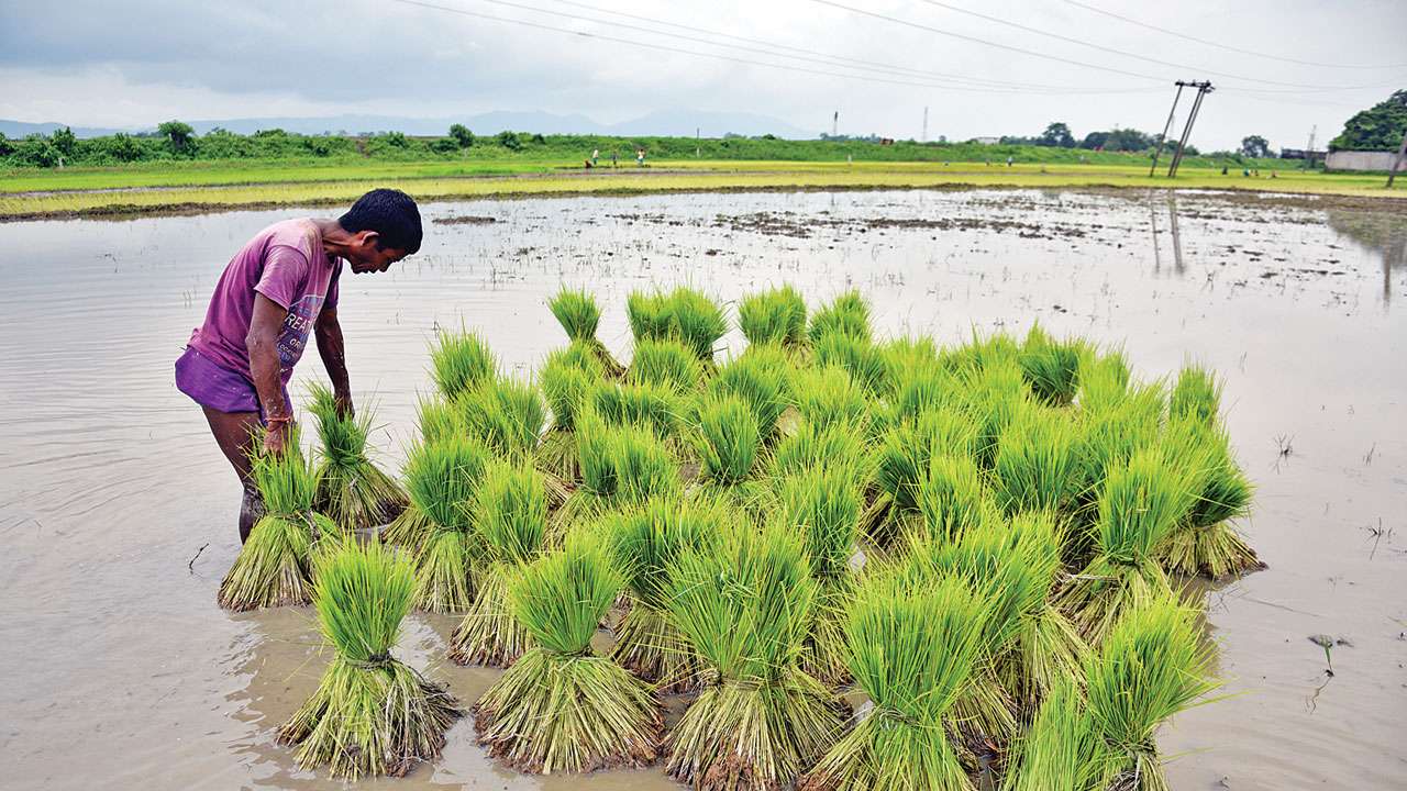 States kick off data collection for pm-kisan