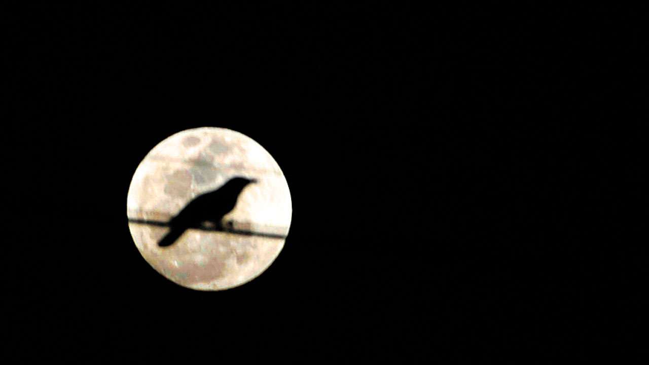 Supermoon