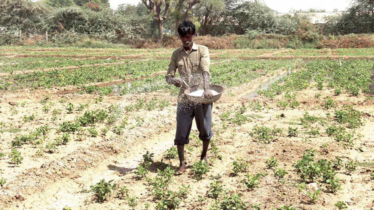 Farmer