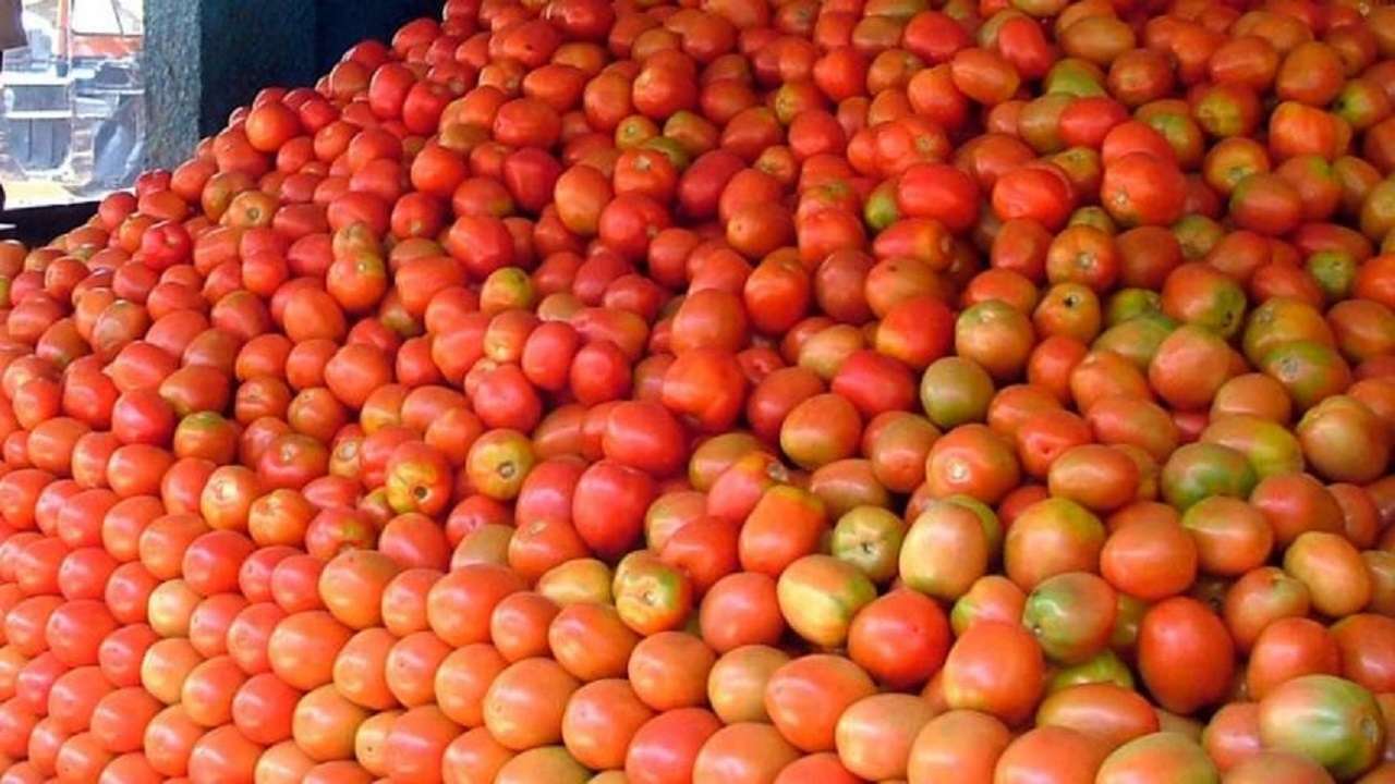 Pulwama attack aftermath: MP farmers stop export of tomatoes to Pakistan