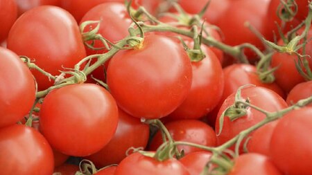 Tomatoes in Lahore are being sold for Rs180/kg.